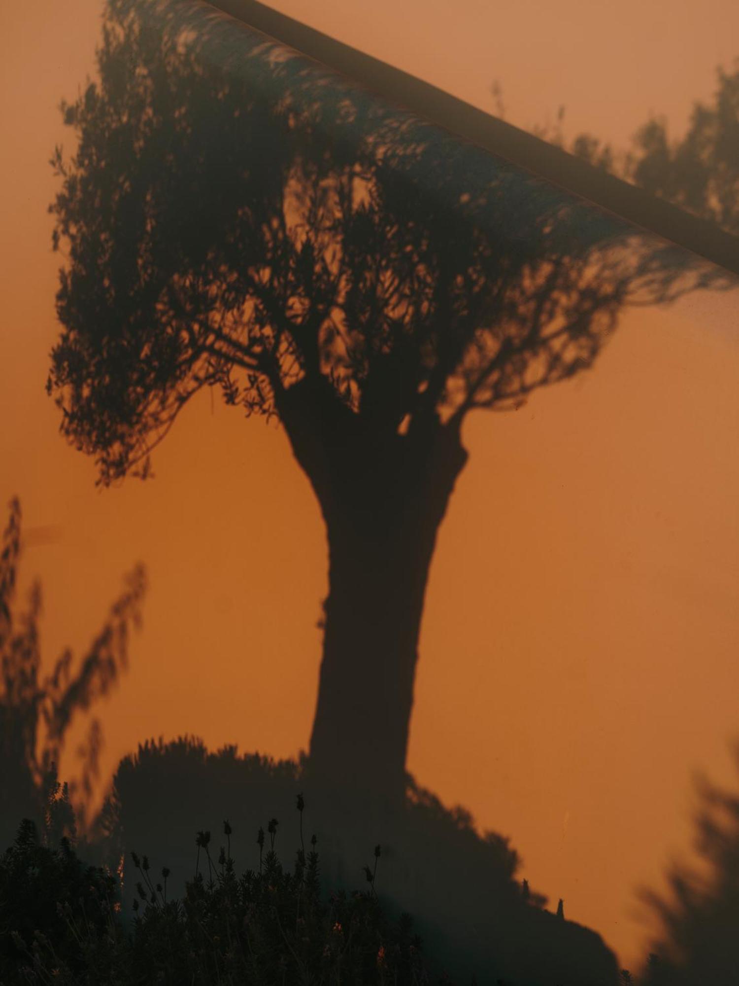 ホテル The Wild By Interni カラファティス エクステリア 写真